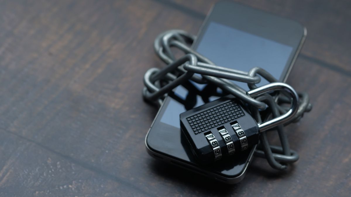 CPF, endereço e informações de pagamento devem ser protegidos pelas lojas virtuais. O uso e o armazenamento desses dados precisam seguir as regras da LGPD, sob fiscalização da ANPD