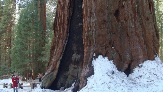 General Sherman