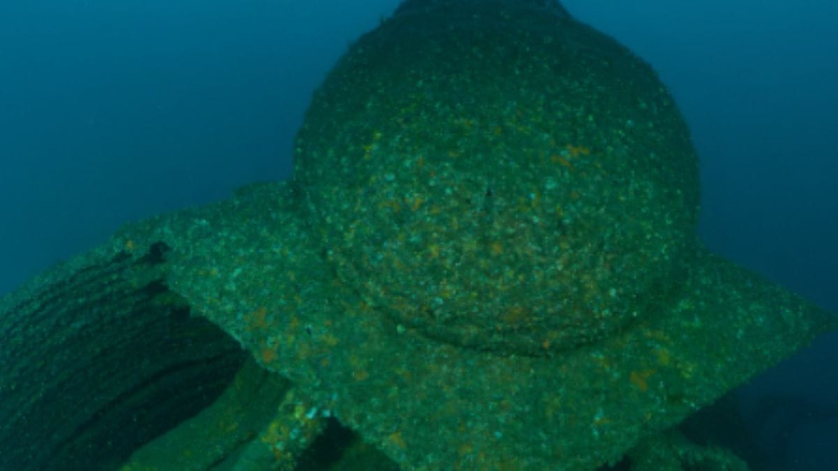 navio