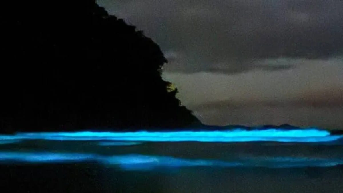 'Mar azul' na Praia de Itamambuca, em Ubatuba (Foto: Leonardo da Costa Dantas/Arquivo pessoal)