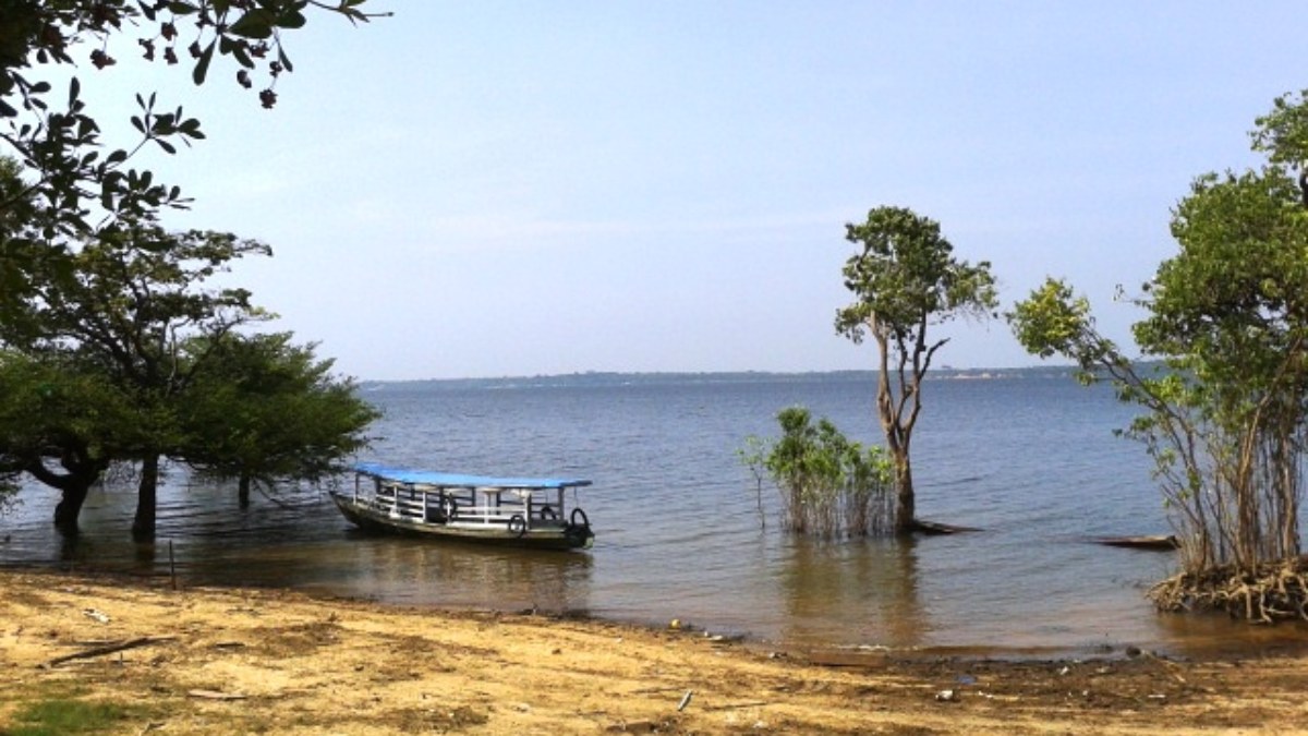 Maués, Amazonas (Foto_ Fernanda Beda_Wikimedia Commons)