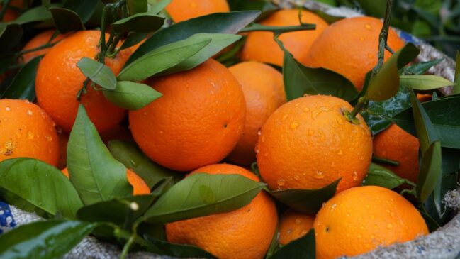Laranja (Foto_ Natalia Sevruk_Pexels)