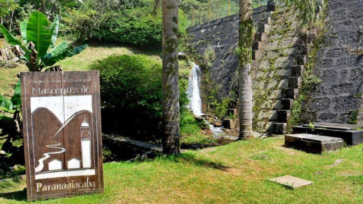 Parque Natural Municipal Nascentes de Paranapiacaba (Foto_ Divulgação_Prefeitura de Santo André) (2)