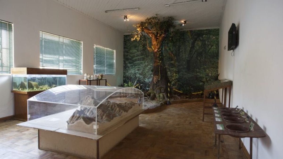 Parque Natural Municipal Nascentes de Paranapiacaba (Foto_ Divulgação_Prefeitura de Santo André)