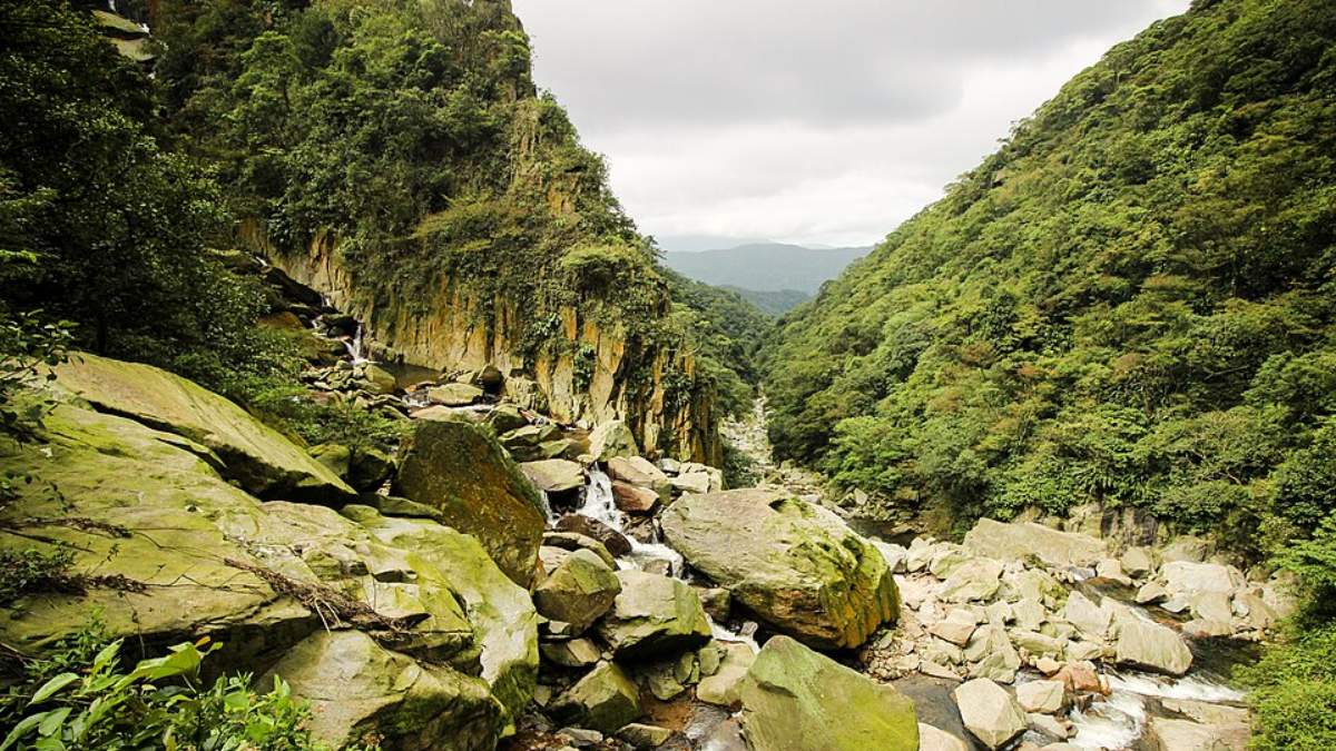 Parque Natural Municipal Nascentes de Paranapiacaba (Foto_ Rafael Cristo Watanabe_Wikimedia Commons)