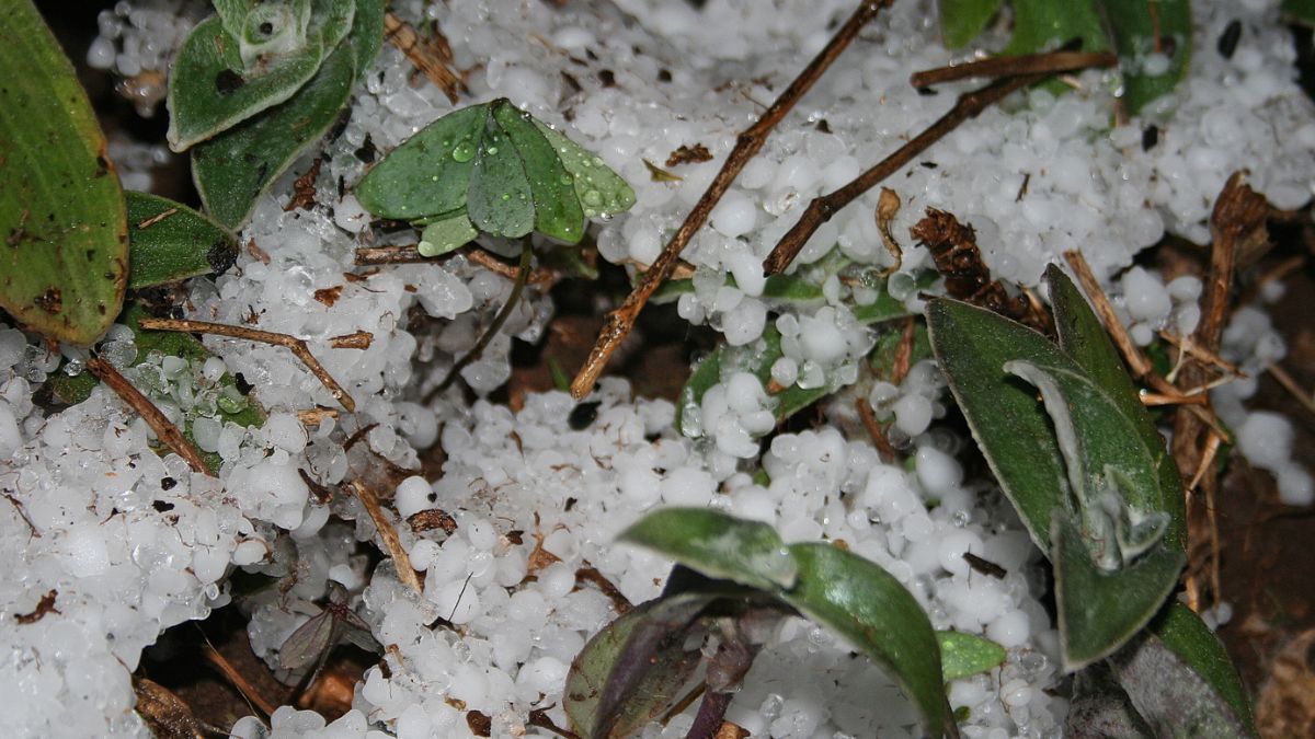 ciclone bomba