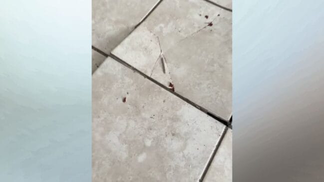 rachadura em pisos e azulejos