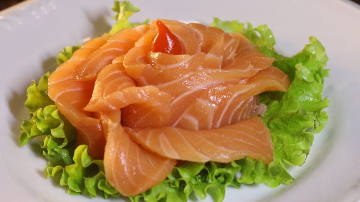 Salmão (Foto_ Gustavo Santana_Pexels)