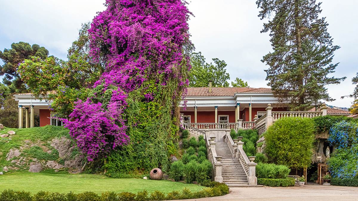Vinícola Santa Rita Chile (Foto_ Divulgação_Vinícola Santa Rita)