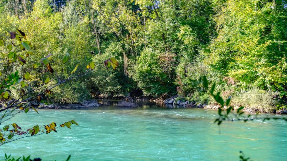 Rio Aare, em Berna, na Suíça, é usado por moradores para aproveitar a correnteza durante os dias quentes de verão (Foto: Chrisaliv/ Wikimedia Commons)