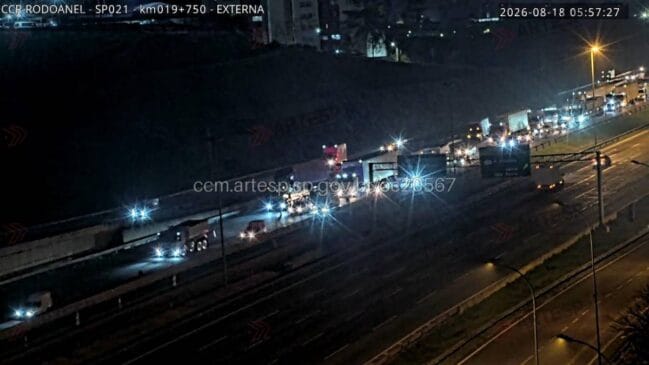 Caminhão ficou imobilizado após atingir a defensa metálica no sentido interno da rodovia.