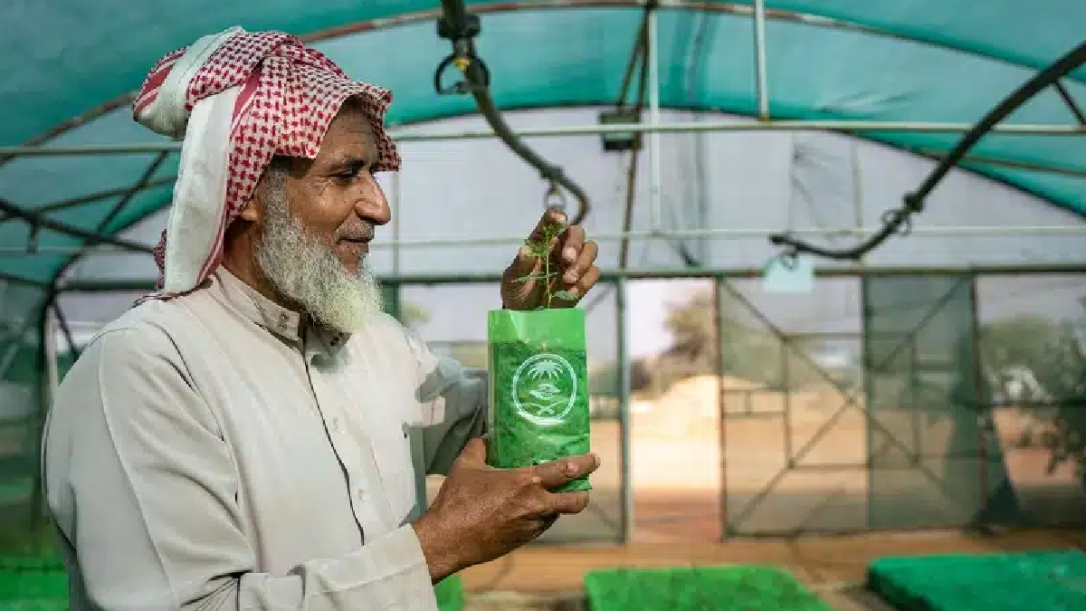 Megaprojeto ‘transforma o deserto’ na Arábia Saudita com 159 milhões de árvores e choca a ONU