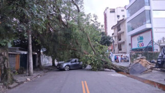 Fotografia em plano aberto de uma rua asfaltada com faixa dupla amarela ao centro, onde uma árvore de grande porte tombou por completo, bloqueando a via. À direita, a base da árvore aparece arrancada do solo, destruindo as pedras da calçada. A copa frondosa e os galhos cobrem o asfalto e atingem a parte traseira de um automóvel SUV cinza-escuro. Ao fundo, veem-se edifícios residenciais, a fachada de uma academia de ginástica e pedestres na calçada observando a cena sob céu nublado.