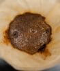 Borra de café no vaso sanitário virou truque semanal mas há um detalhe que pode fazer você repensar esse hábito