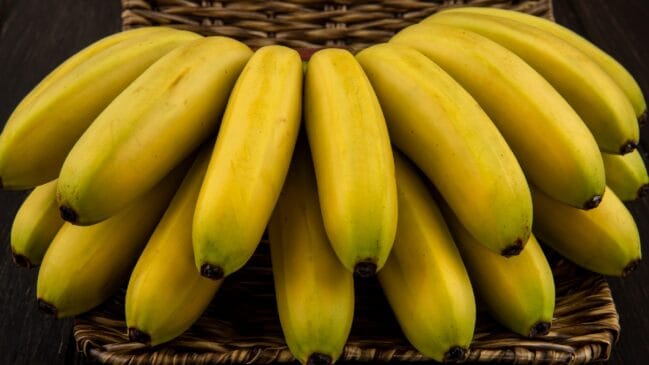 Cacho de bananas