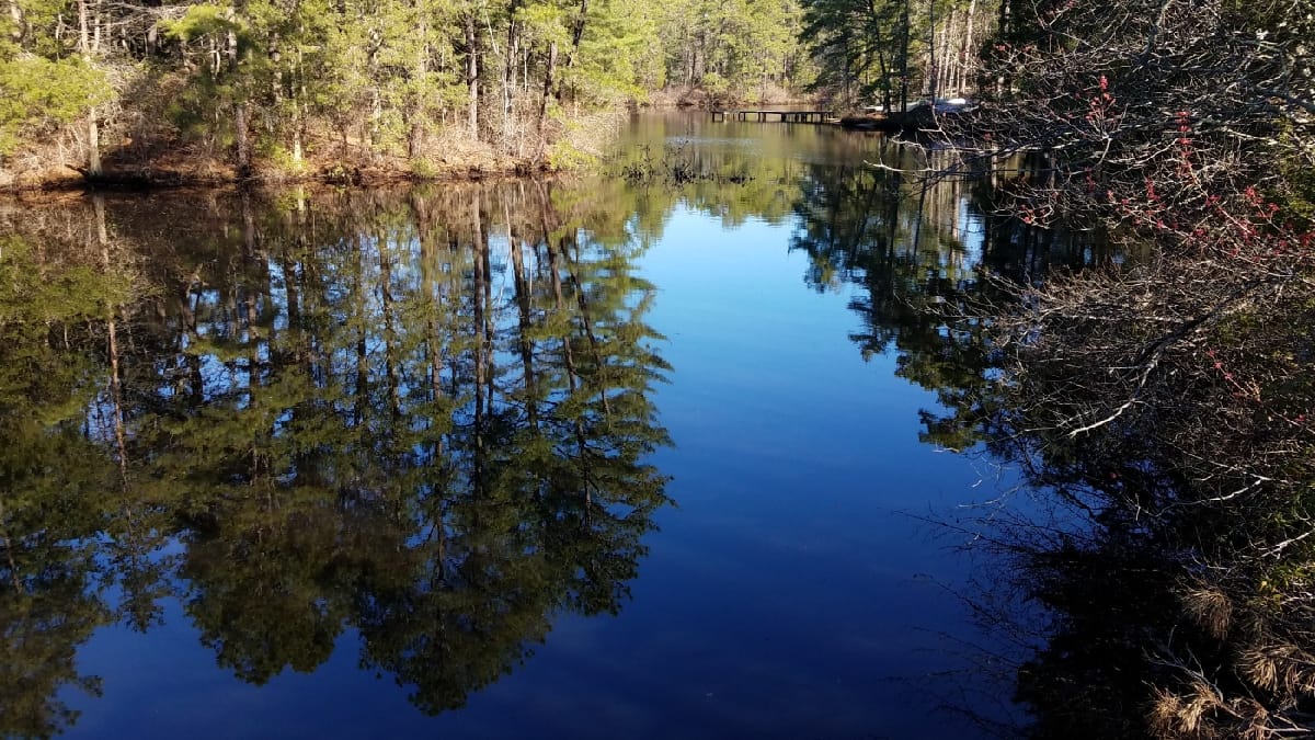Woodford Cedar Run Wildlife Refuge