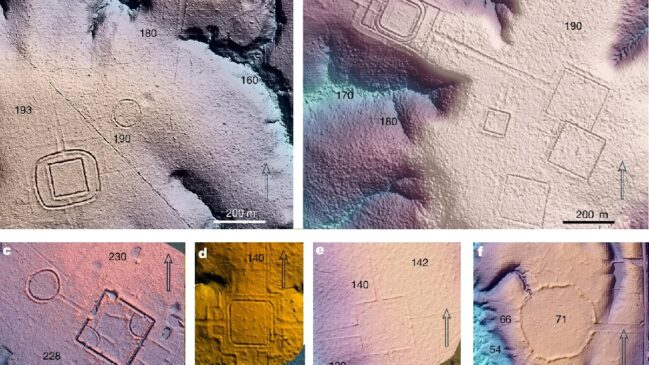 Cientistas analisaram marcas geométricas encontradas por laser sob a floresta (Foto: Reprodução/Martti Pärssinen/Nature)
