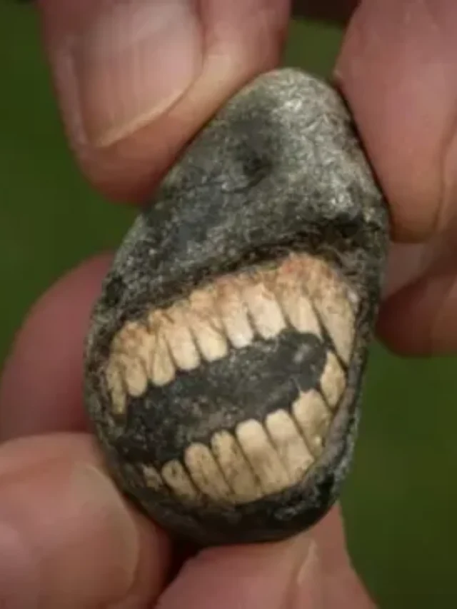 Turista encontra fóssil que parece sorrir há 350 milhões de anos em ilha inglesa de só 150 habitantes