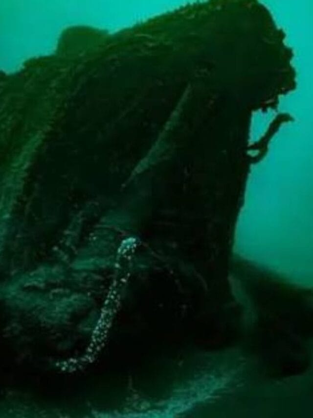 Mergulhadores encontram navio britânico que se partiu ao meio em acidente há 118 anos no fundo do Canal da Mancha