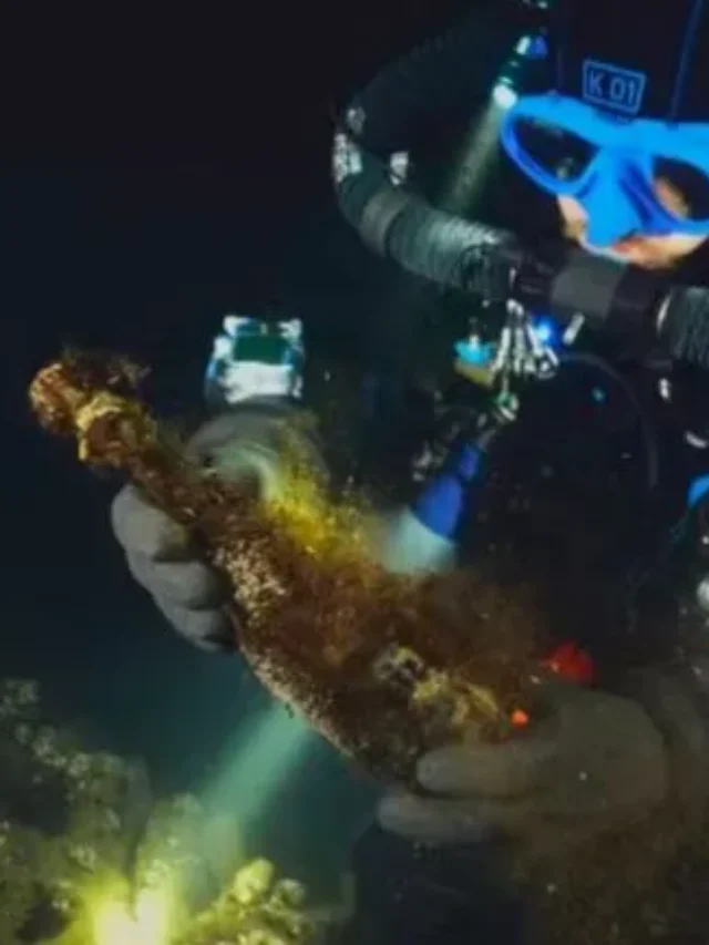 Garrafas de champanhe de Alexandre 2º são encontradas intactas após mais de 160 anos no fundo do Mar Báltico