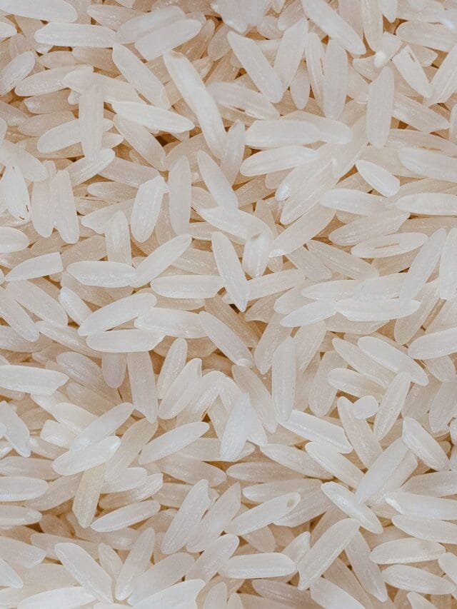 Água do arroz no jardim: truque simples pode ajudar como adubo caseiro no crescimento das plantas de casa