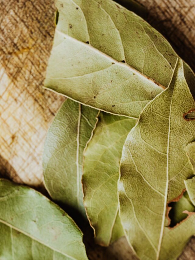 Ferver folhas de louro com canela e cravo-da-índia: veja para que serve e como perfumar a casa naturalmente