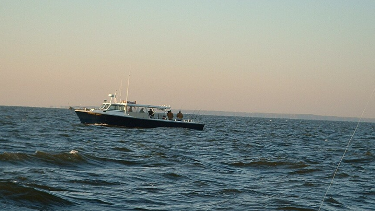 Grayson Rogers era pescador e participou ativamente de iniciativas de ampliação de recifes artificiais na costa da Virgínia (Foto: Gbaddorf / Wikimedia Commons)