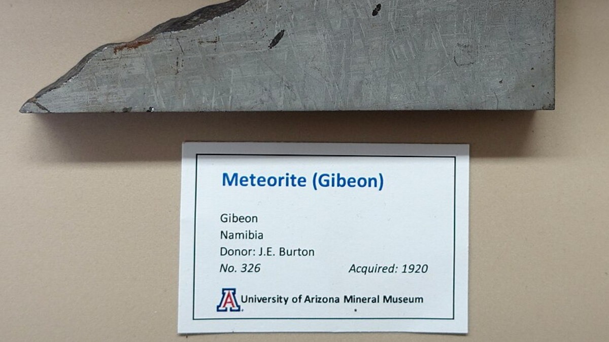 Meteorito de ferro Gibeon alcançou US$ 437,5 mil graças à combinação de raridade e formato natural (Foto: Daderot / Wikimedia Commons)