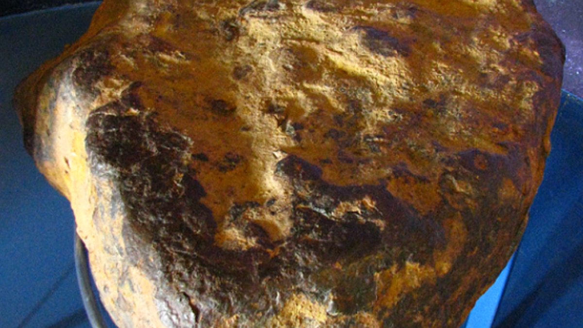 Uma esfera do meteorito de ferro Muonionalusta foi avaliada inicialmente em apenas US$ 14 mil a US$ 18 mil. A peça terminou vendida por US$ 350 mil, quase 20 vezes acima da estimativa máxima (Foto: Krenakarore / Wikimedia Commons)
