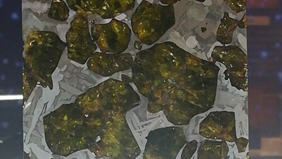 Cristais dourados de olivina transformaram o meteorito Fukang em um dos exemplares mais cobiçados do mundo com cerca de US$ 723 mil (Foto: Leiem / Wikimedia Commons)