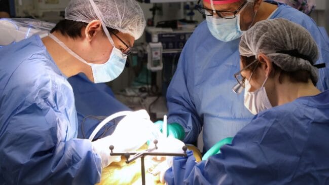 Primeira biópsia pediátrica de tumor cerebral guiada por robótica