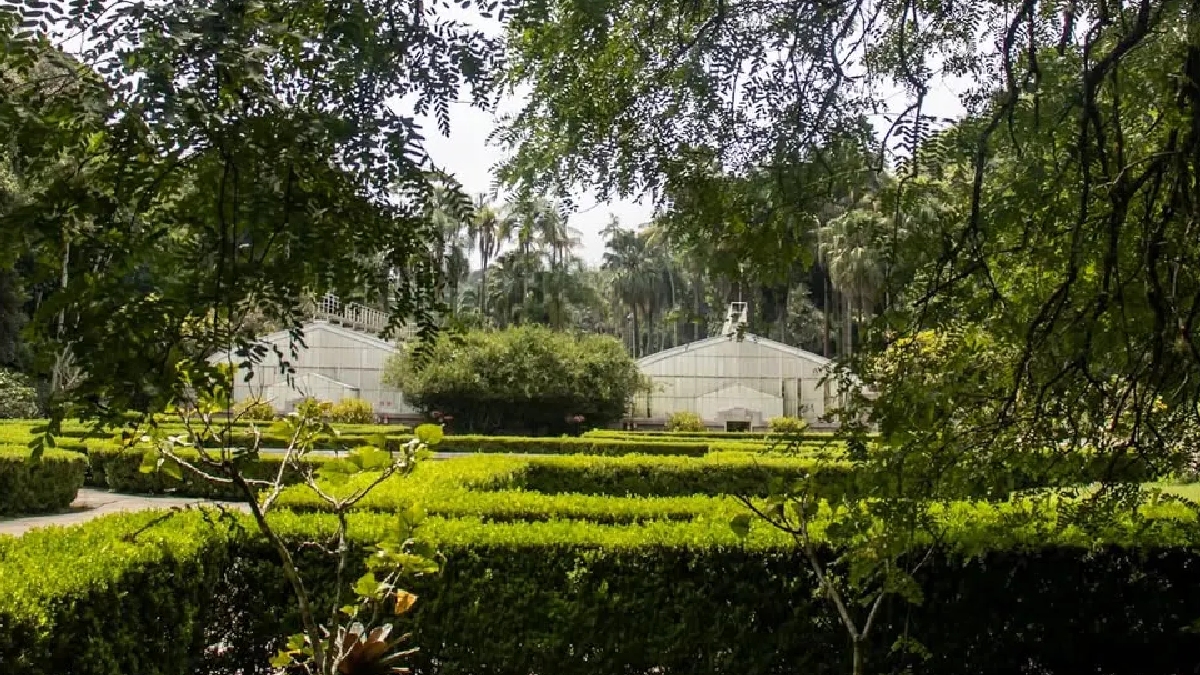 Jardim Botânico de SP