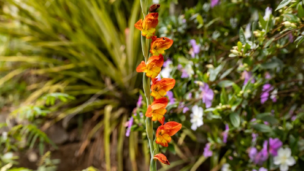 Jardim Botânico de SP