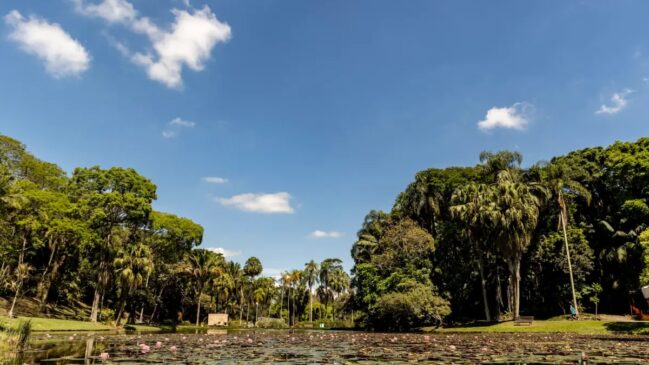 Jardim Botânico de SP