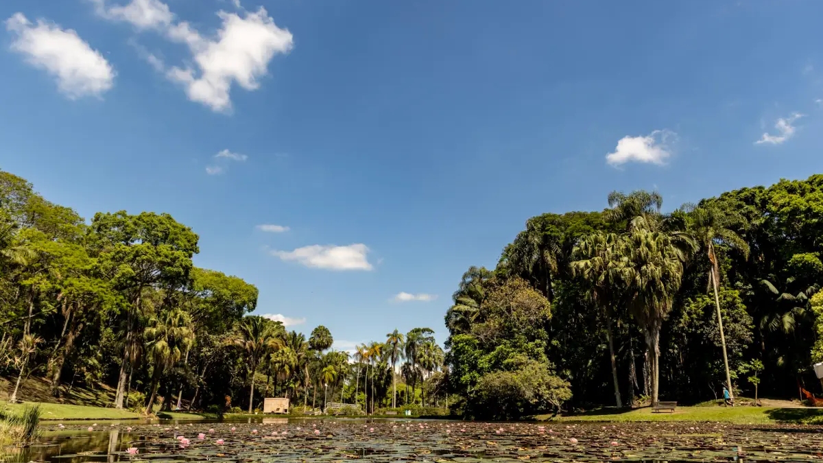 Jardim Botânico de SP