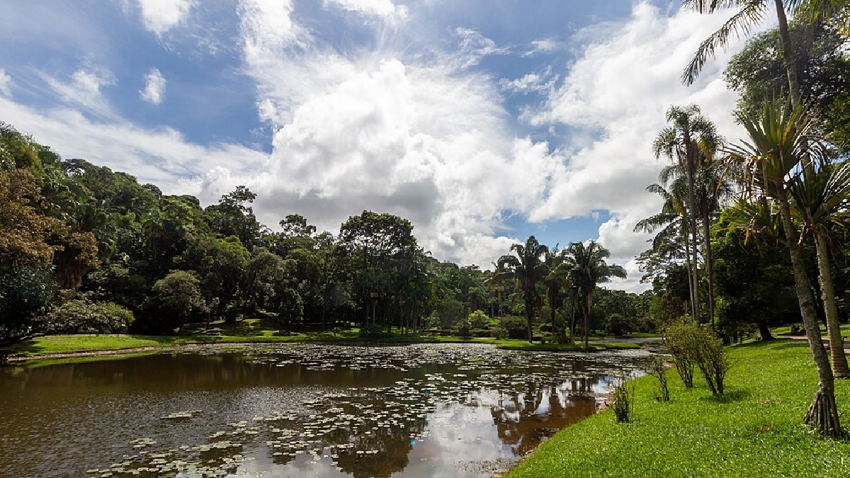 jardim-botanico-sp-mike-peel-wikimedia-1