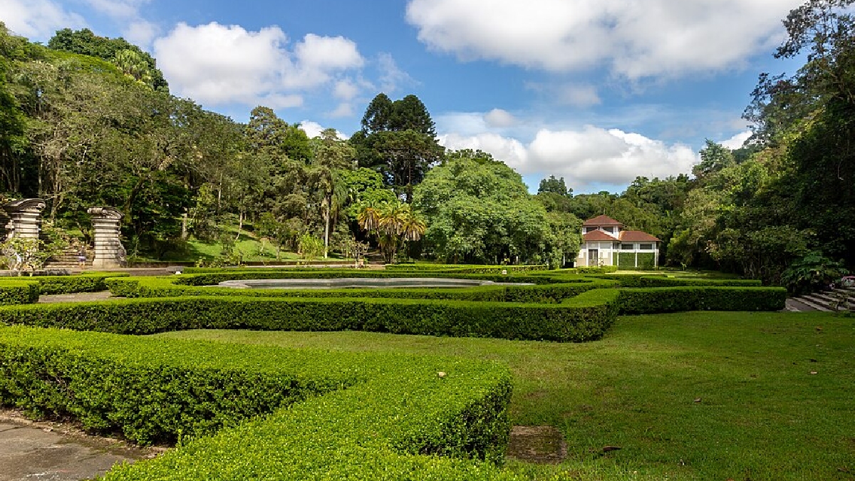 Jardim Botânico de SP