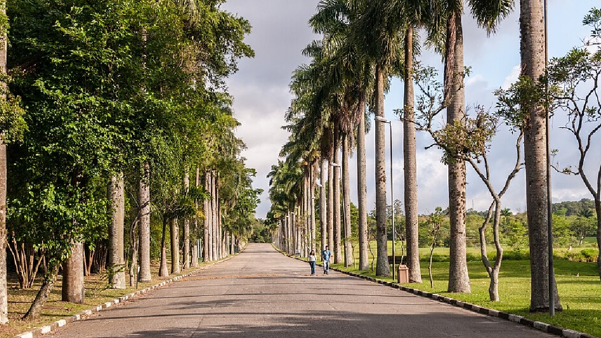 Jardim Botânico de SP