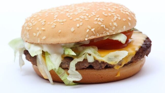Combinação de pão, carne, queijo e salada explica por que molhos cremosos fazem tanta diferença no x-salada (Foto: Evan-Amos / Wikimedia Commons)