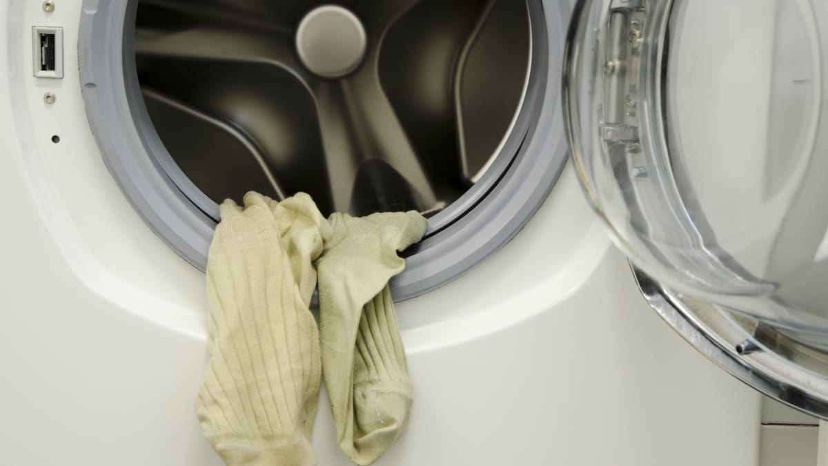 Máquina de lavar roupas deve ser desconectada da tomada antes de qualquer intervenção ou tentativa de retirar peças presas (Foto: Magnific)