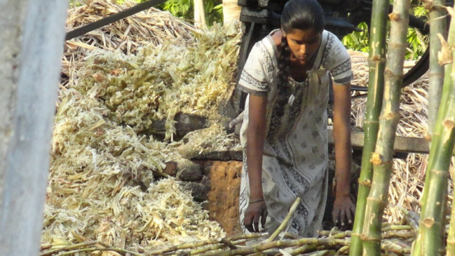 Para muitas mulheres, a menstruação deixou de ser apenas uma questão de saúde e passou a representar também um problema financeiro (Foto: Bhaskaranaidu/ Wikimedia Commons)