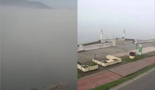 Nevoeiro para Porto de Santos neste domingo /Reprodução