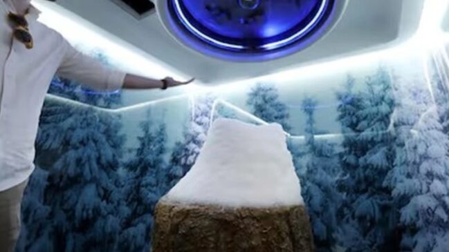 Quartos neve super ricos