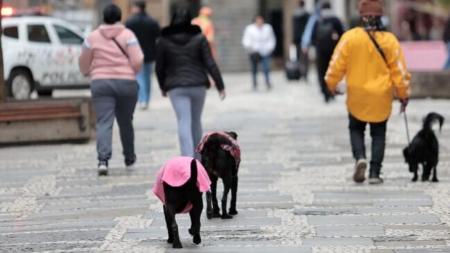 Frio em SP