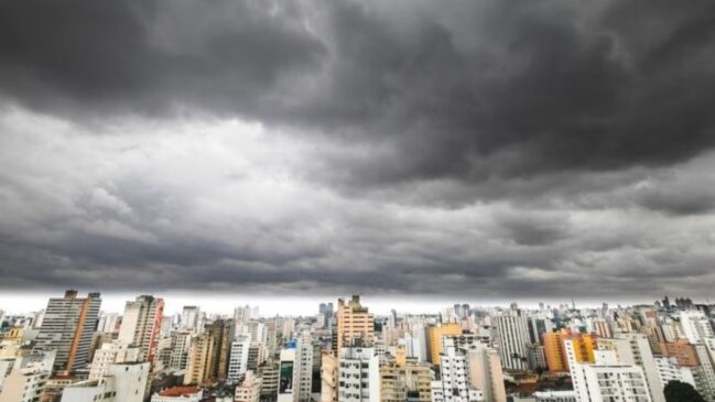 Defesa Civil orienta moradores a acompanhar alertas e evitar locais com risco de queda de árvores e estruturas