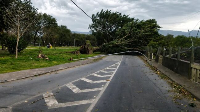 Ventania em São Paulo pode trazer rajadas de vento de até 50 km/h durante a passagem de uma frente fria no fim de semana