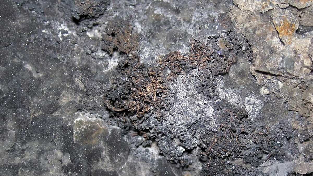 Elas são massas de fluidos que transitam pelo magma, extremamente quentes e salgadas, que conseguem dissolver e transportar metais até formarem depósitos minerais (Foto: Microbialmatt / Wikimedia Commons)