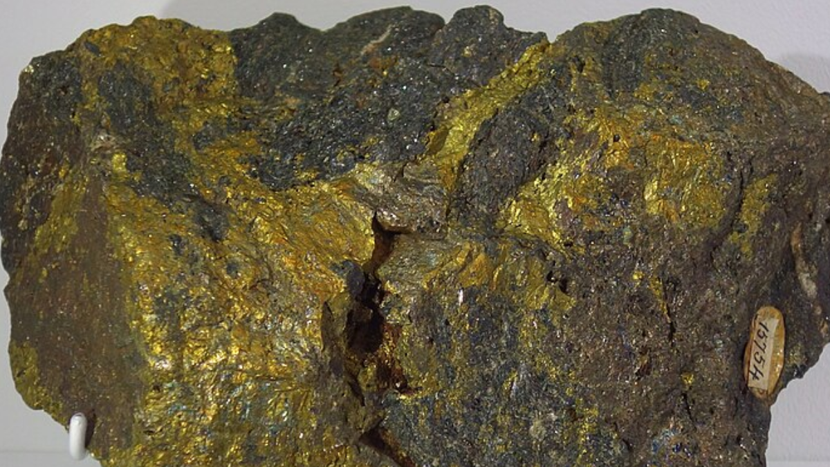 Entre os metais que podem se concentrar está o cobre: minerais como a calcopirita podem se formar em sistemas ligados à circulação de fluidos quentes (Foto: Daderot / Wikimedia Commons)
