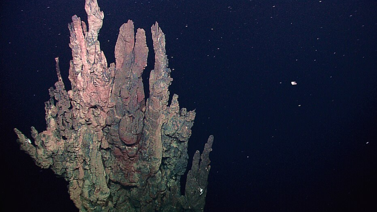 Parte do material começa então a precipitar: quando as condições mudam, minerais dissolvidos deixam o fluido e se acumulam sobre as rochas, formando depósitos (Foto: NOAA Okeanos Explorer Program)