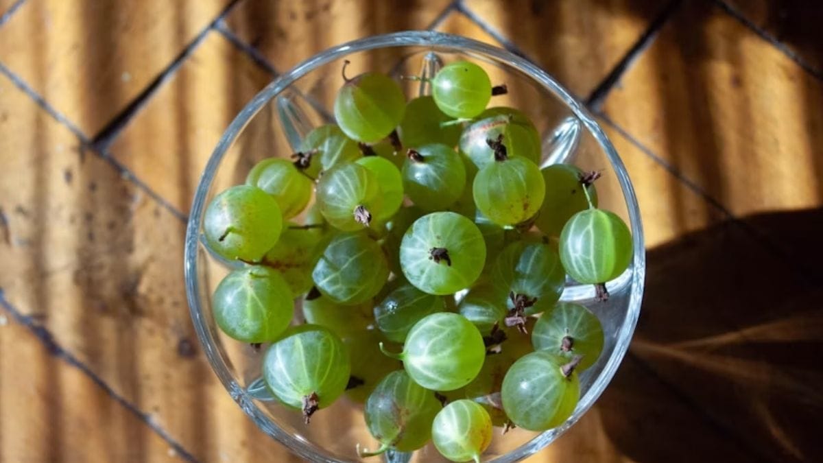 conservar uvas